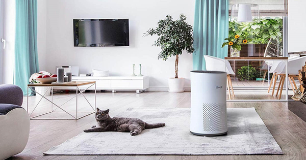 kriteria air purifier untuk ruang keluarga